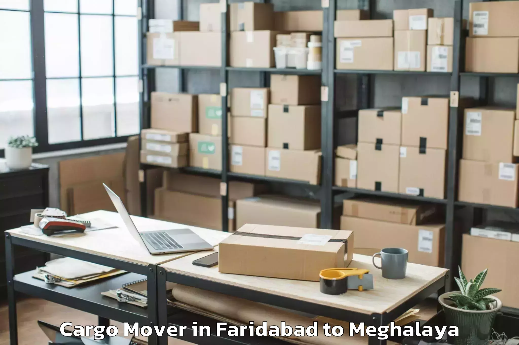 Book Faridabad to Mit University Shillong Cargo Mover Online